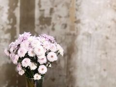 -VOYAGE COFFEE 咖啡烘焙工坊店(798艺术区店)