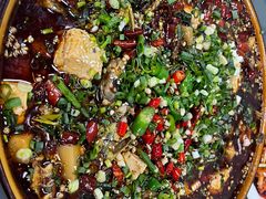 -葡萄园鱼庄(新津店)