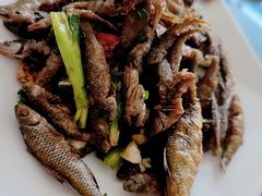 -品雅轩农家乐