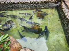 -耕渔小院·湖南鱼鲜(望城店)