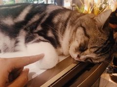 -咖法森林·咖啡  酒吧(天河店)