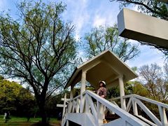 -上海共青森林公园