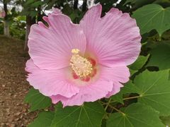 -东坡赤壁风景名胜区