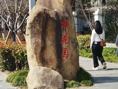 -高东镇樱花园