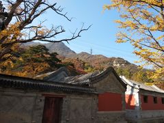 -阳台山自然风景区