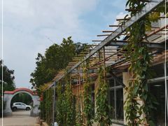 -雅香园(北滘上僚店)