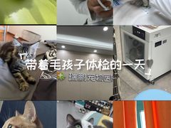 -瑞鹏宠物医院·骨外科·心肾科·肿瘤科(九亭店)