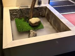 -上足·影院足道·SPA(红岭店)