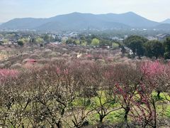景点-香雪海