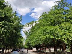 -辽宁大学(崇山校区)