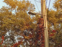 -三味书屋(复兴门内大街店)