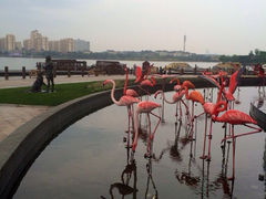 iphone_upload_pic-翠晶水上餐厅(泰晤士小镇店)