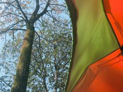 -艾溪湖湿地公园