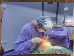 -南京医科大学友谊整形外科医院