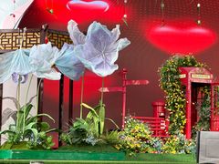 -荷兰花海