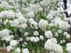 -盘龙城国家考古遗址公园