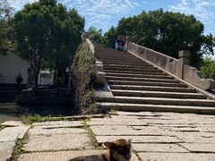 -金泽古镇