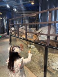 -酷嗒动物文化乐园(cutezoo西溪乐天城店)