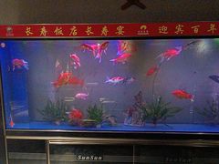 -欣旺·迎宾楼·百年无锡菜