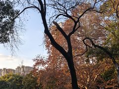 -华东政法大学(松江校区)