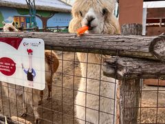 -祥源·阜阳生态乐园