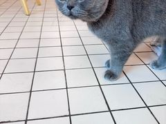 -ID.PHOTO照相馆(嘉里企业中心店)