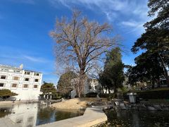 -香山公园