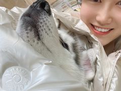 -Husky Go! 哈士奇体验馆·宠物咖啡厅狗咖