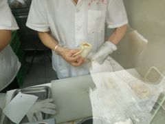 -上海虹口糕团(福州路店)