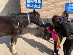 -月河湾马术俱乐部(朝阳店)