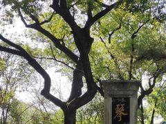 -古琴台