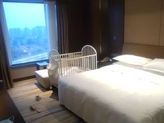 -扬州绿地铂骊酒店