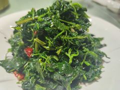 -国力仁和(凤城三路店)