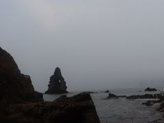 -石老人观光园