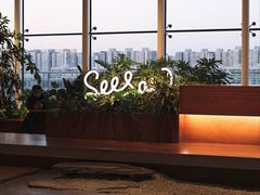 -Seesaw Coffee(朝阳大悦城店)