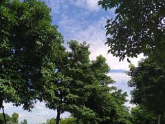 -琅岐红光湖公园