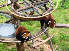 -西霞口神雕山野生动物世界