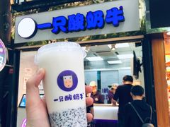 门面-一只酸奶牛(八一路店)