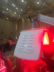 -碧莲盛·不剃发植发