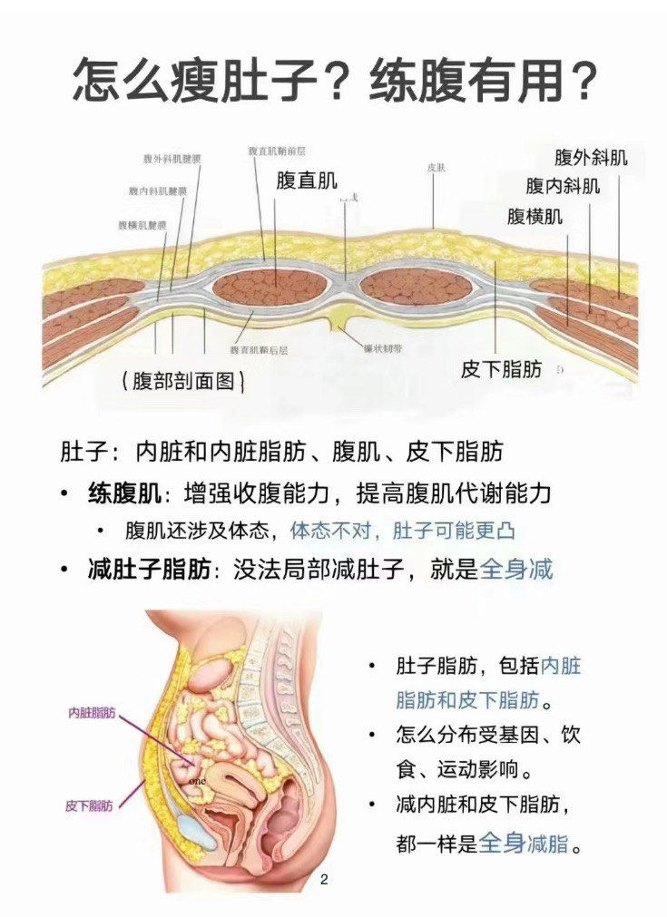 腹部肥胖的原因:
1.盆底肌无力