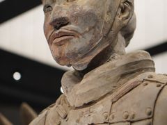 -秦始皇帝陵博物院(兵马俑)