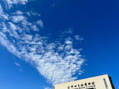 -辽宁古生物博物馆