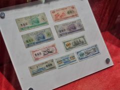 -枫泾古镇-人民公社旧址