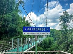 -川西竹海景区