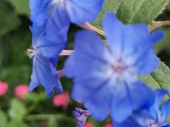 -北京植物园-展览温室