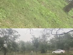 -秦皇岛野生动物园