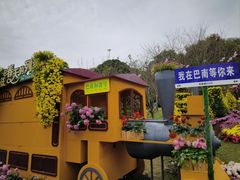 -南山植物园