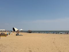 -碧海金沙