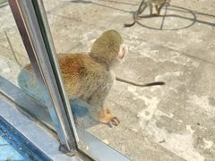 -秦皇岛野生动物园