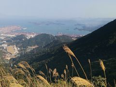 -梧桐山风景名胜区